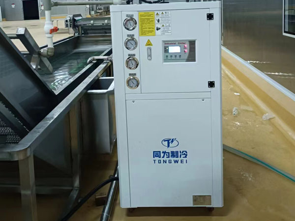 Tongwei Successfully Install 10 Ton Industrial Air Cooled Chiller in Customer Food Factory